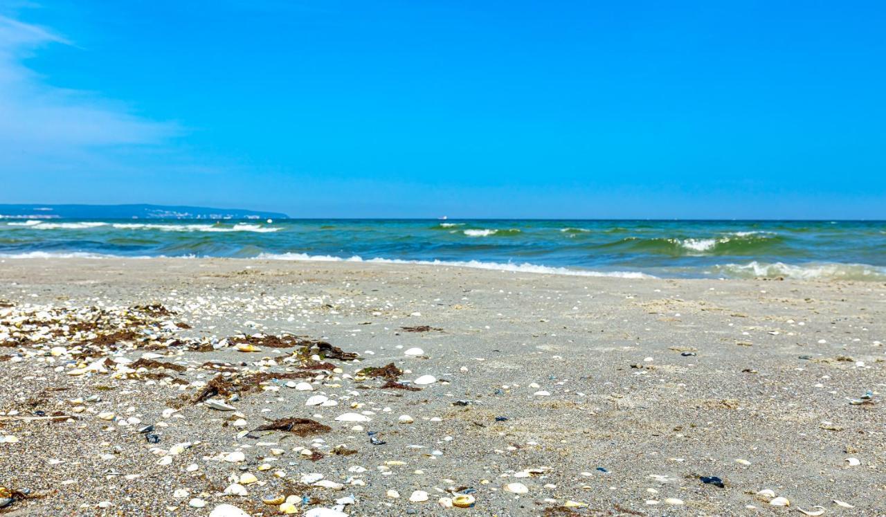 Strandurlaub Ruegen "Luett Mia" Binz Dış mekan fotoğraf